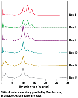 Upstream Monitoring of CHO Cell Culture